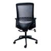 Anji High Back Mesh Chair w/Arms - Black
