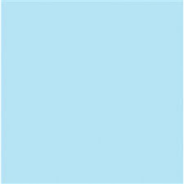 Picture of 57-008 Bristol Paper 22-1/2 x 28-1/2 Blue